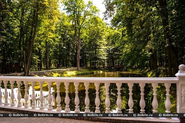 Сажалка ў парку. 2013 г.